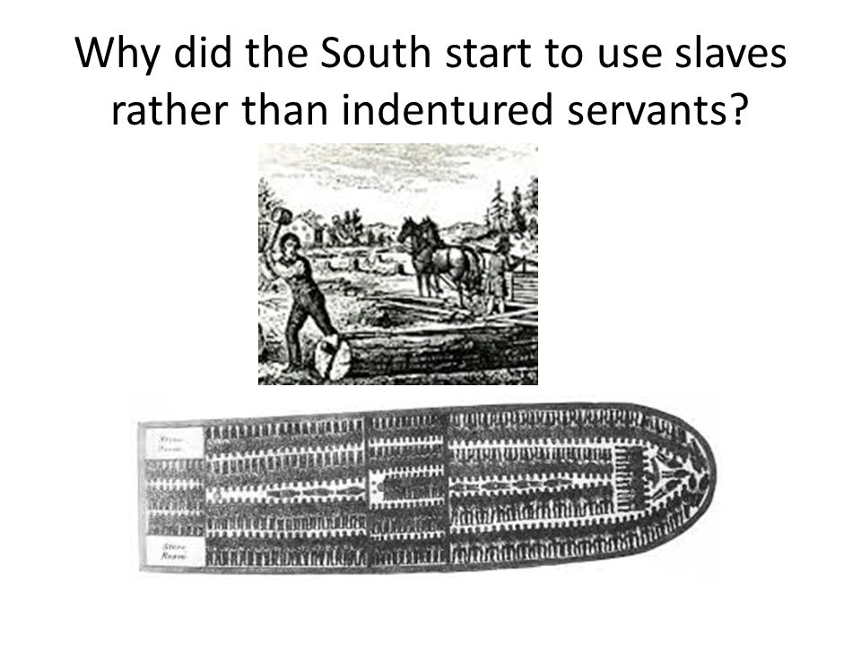 Why did the South start to use slaves rather than indentured servants