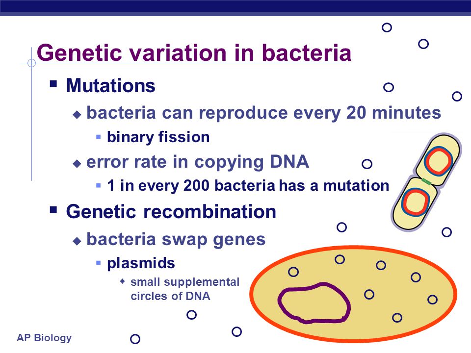 ap bio cell essay questions ap bio cell essay questions