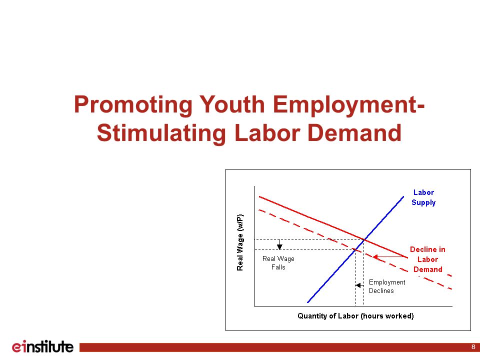Promoting Youth Employment- Stimulating Labor Demand 8