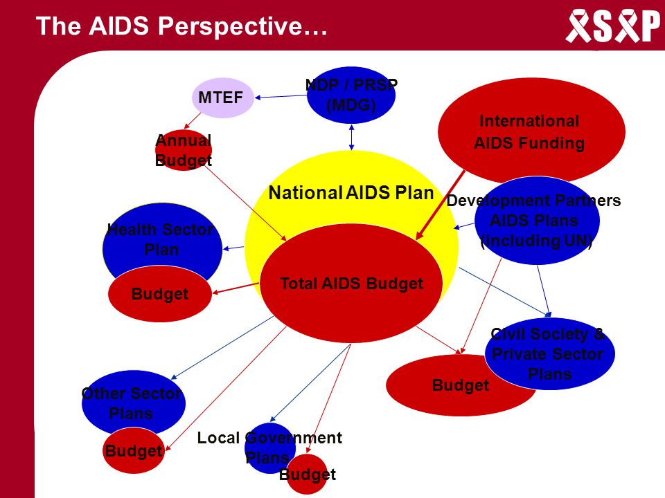 S P The AIDS Perspective… National AIDS Plan Local Government Plans Other Sector Plans NDP / PRSP (MDG) MTEF International AIDS Funding Annual Budget Health Sector Plan Budget Total AIDS Budget Development Partners AIDS Plans (including UN) Civil Society & Private Sector Plans