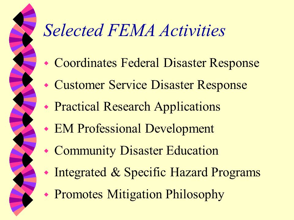 Selected FEMA Activities w Coordinates Federal Disaster Response w Customer Service Disaster Response w Practical Research Applications w EM Professional Development w Community Disaster Education w Integrated & Specific Hazard Programs w Promotes Mitigation Philosophy