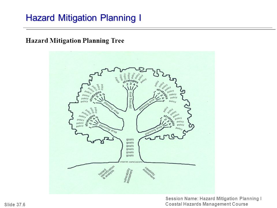 Hazard Mitigation Planning I Session Name: Hazard Mitigation Planning I Coastal Hazards Management Course Slide 37.6 Hazard Mitigation Planning Tree