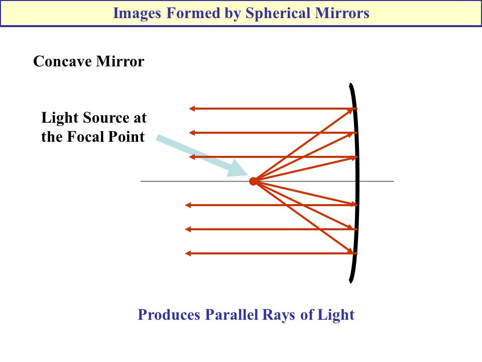 freakonomics focal point freakonomics focal point