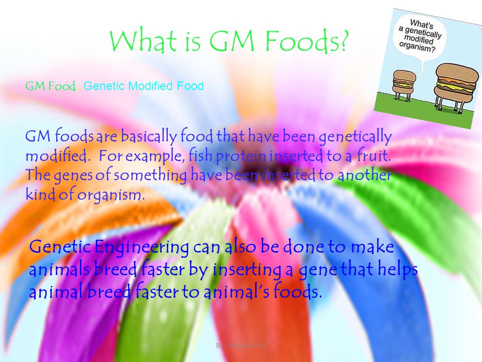 What is GM Foods. By: Maira Hafiz GM foods are basically food that have been genetically modified.