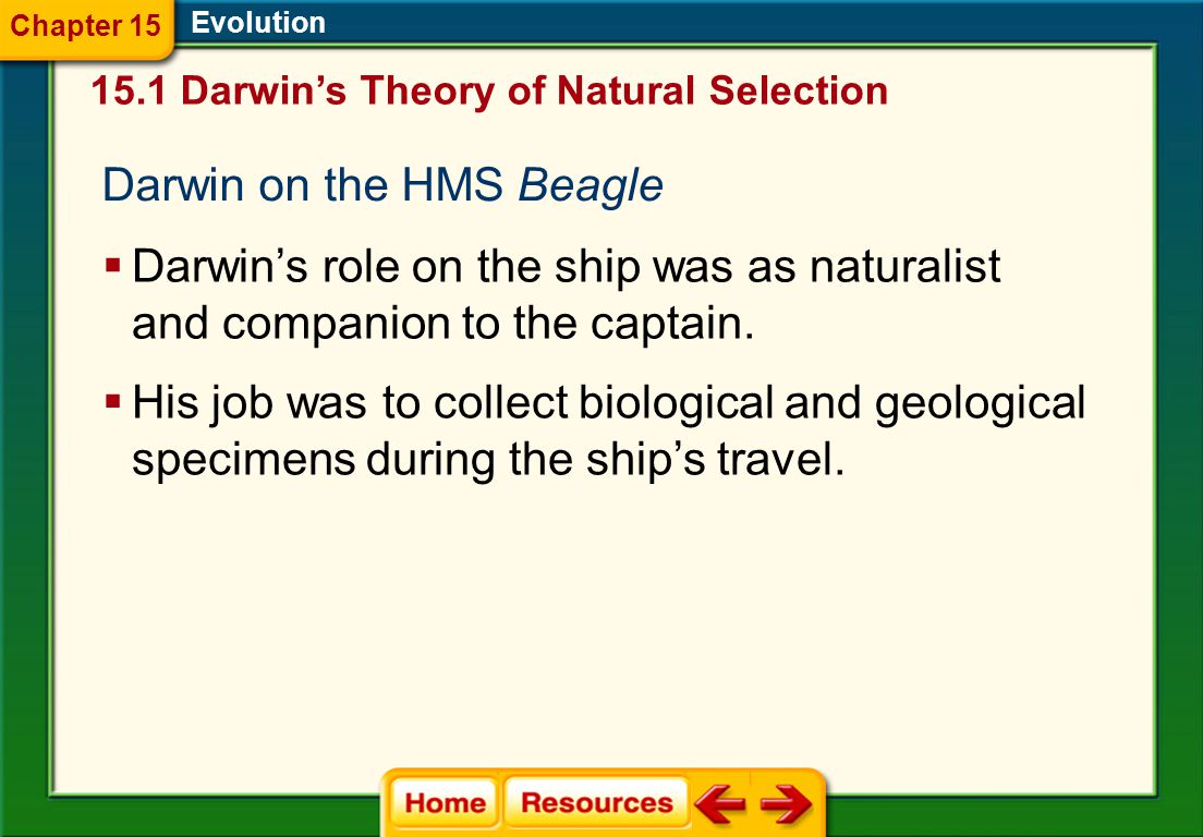 Theory Of Evolution By Natural Selection Worksheets Worksheet Theory Of Evolution Natural Selection Worksheet Worksheets Versaldobip