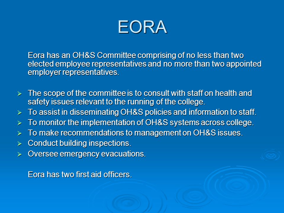 EORA Eora has an OH&S Committee comprising of no less than two elected employee representatives and no more than two appointed employer representatives.