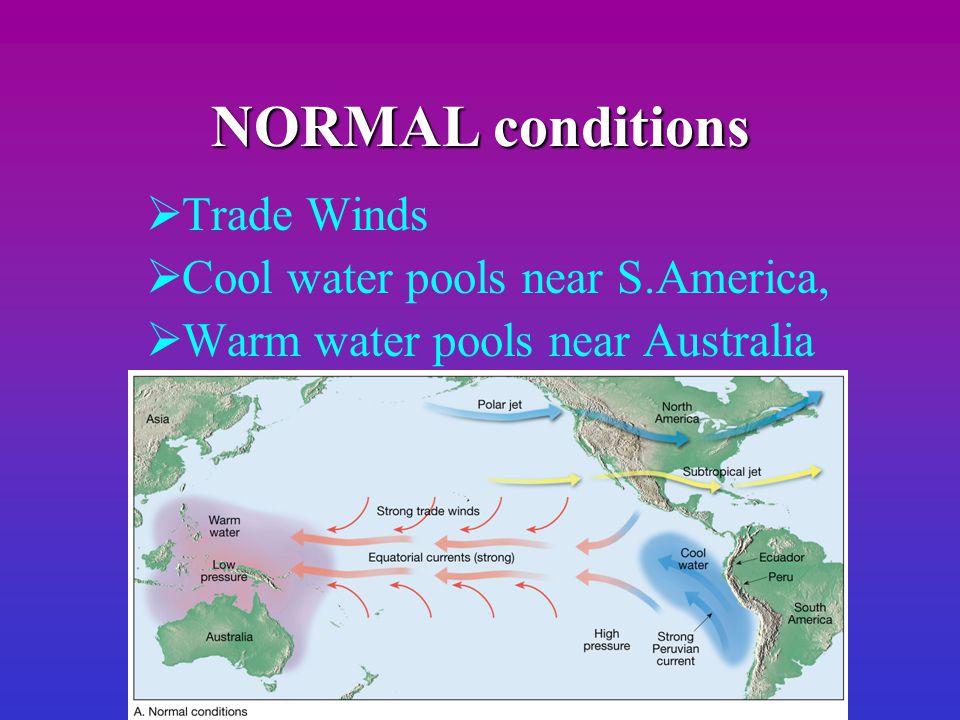 NORMAL conditions  Trade Winds  Cool water pools near S.America,  Warm water pools near Australia
