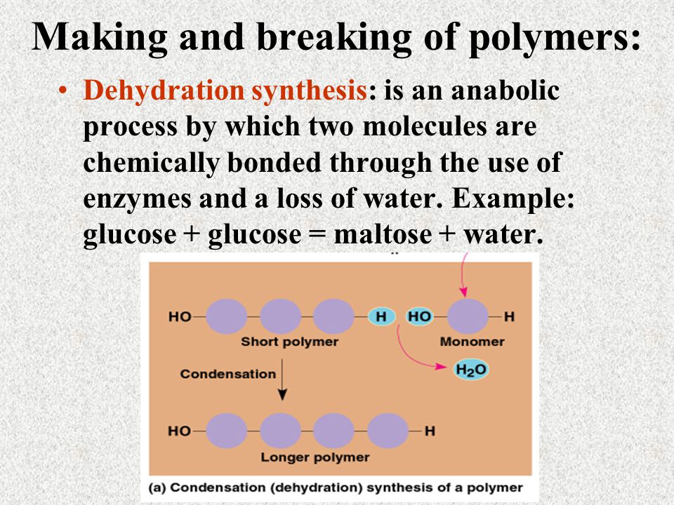 is synthesise is synthesise
