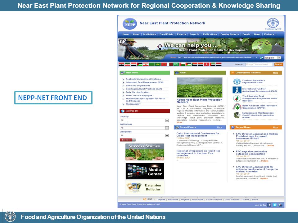 Near East Plant Protection Network for Regional Cooperation & Knowledge Sharing Food and Agriculture Organization of the United Nations NEPP-NET FRONT END