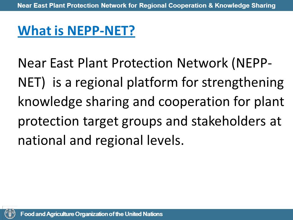 Near East Plant Protection Network for Regional Cooperation & Knowledge Sharing Food and Agriculture Organization of the United Nations What is NEPP-NET.