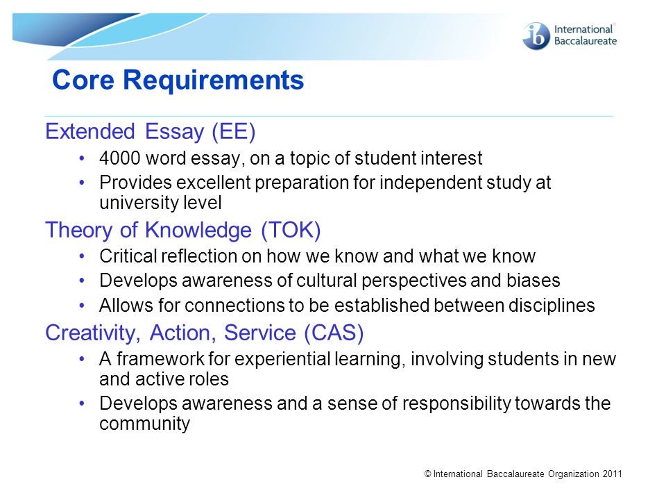 Critical Reflection Essay