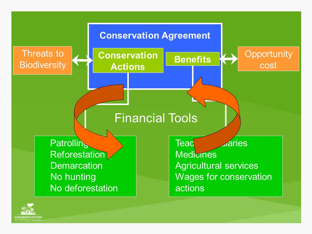 Conservation Agreement Conservation Actions Benefits Threats to Biodiversity Opportunity cost Patrolling Reforestation Demarcation No hunting No deforestation Teachers salaries Medicines Agricultural services Wages for conservation actions Financial Tools
