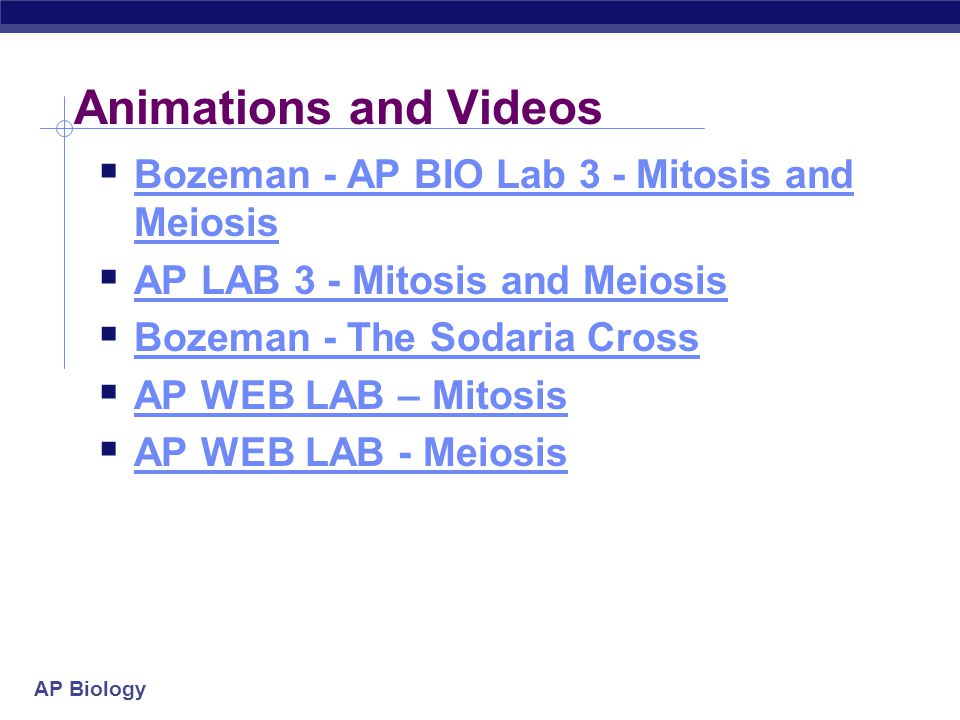 ap biology essays grading rubrics Want create site find free wordpress themes and pluginsthis drama essay is doing my head in critical essay on the masque of the red death on #redux's. ap biology essays grading rubrics Want create site find free wordpress themes and pluginsthis drama essay is doing my head in critical essay on the masque of the red death on #redux's.