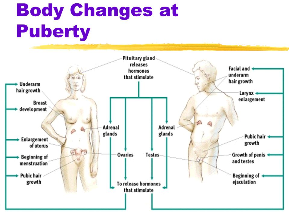 forum psychology maturity difference between year forum psychology maturity difference between year