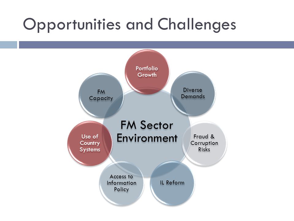 Opportunities and Challenges FM Sector Environment Portfolio Growth Diverse Demands Fraud & Corruption Risks IL Reform Access to Information Policy Use of Country Systems FM Capacity