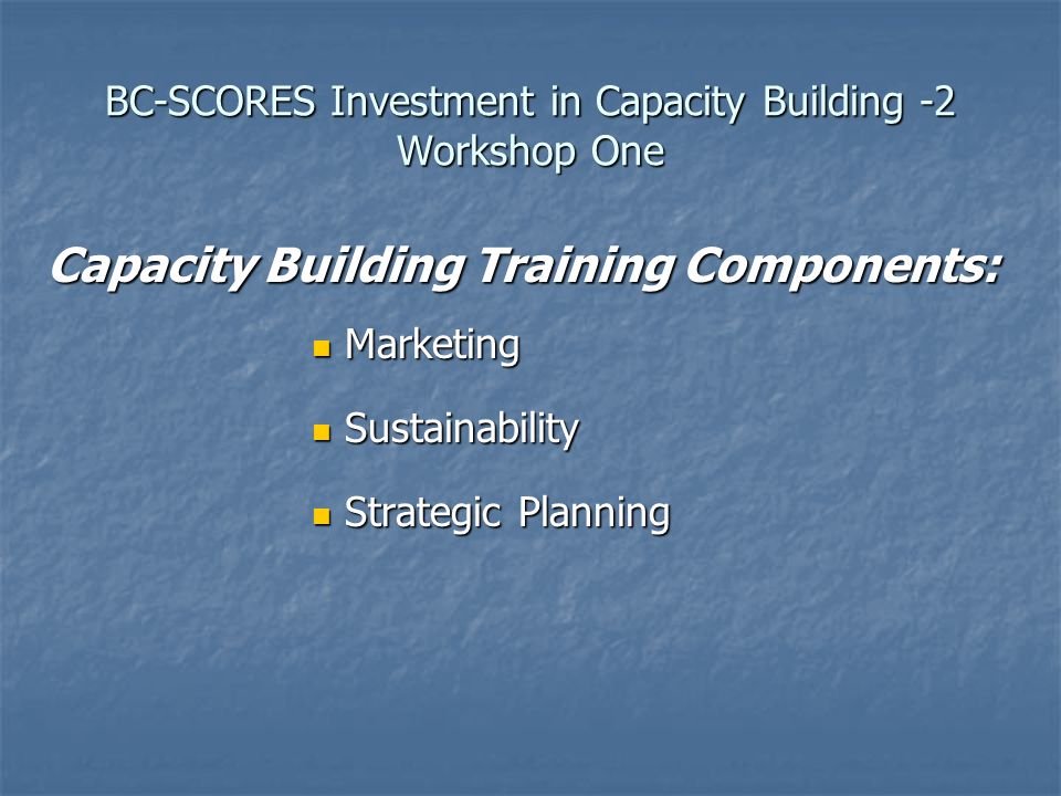 BC-SCORES Investment in Capacity Building -2 Workshop One Capacity Building Training Components: Marketing Marketing Sustainability Sustainability Strategic Planning Strategic Planning