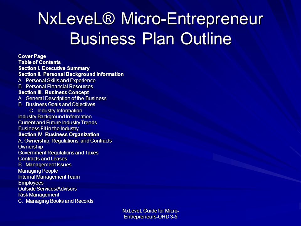 Summary Business Plan