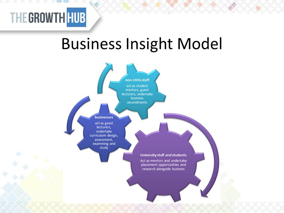 Business Insight Model