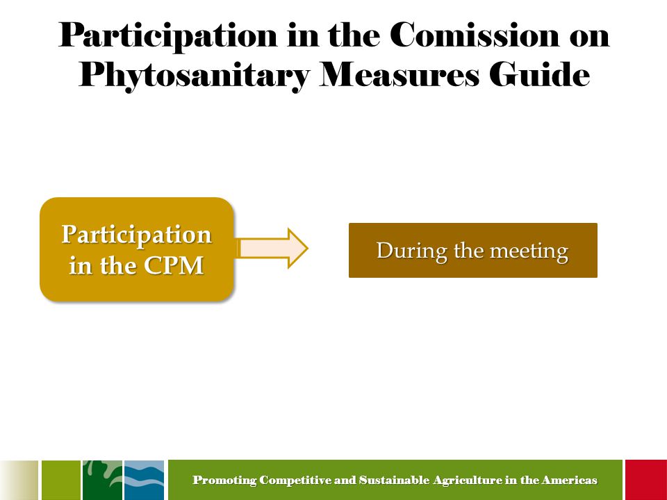 Promoting Competitive and Sustainable Agriculture in the Americas Participation in the Comission on Phytosanitary Measures Guide Participation in the CPM During the meeting