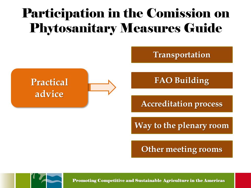 Promoting Competitive and Sustainable Agriculture in the Americas Participation in the Comission on Phytosanitary Measures Guide Transportation FAO Building Accreditation process Practical advice Way to the plenary room Other meeting rooms