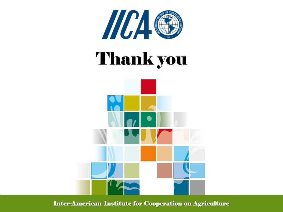 Promoting Competitive and Sustainable Agriculture in the Americas Thank you Inter-American Institute for Cooperation on Agriculture