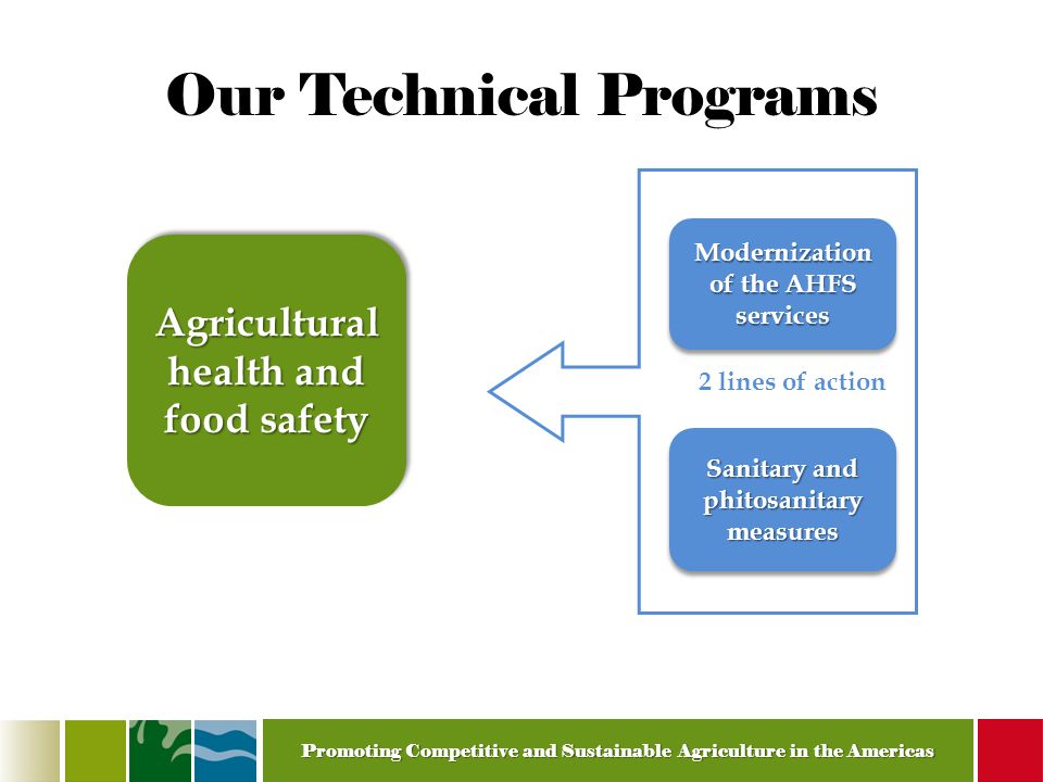 Promoting Competitive and Sustainable Agriculture in the Americas Our Technical Programs Modernization of the AHFS services Agricultural health and food safety Sanitary and phitosanitary measures 2 lines of action