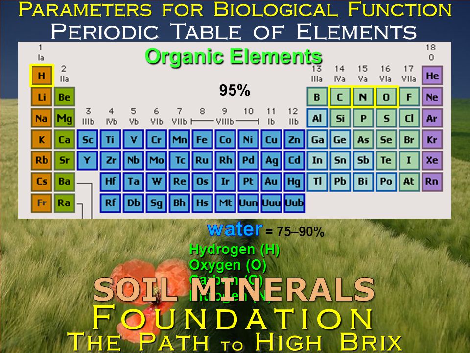 Periodic Table of Elements Parameters for Biological Function Organic Elements Hydrogen (H) Oxygen (O) Carbon (C) Nitrogen (N) The Path to High Brix Foundation = 75–90% 95%