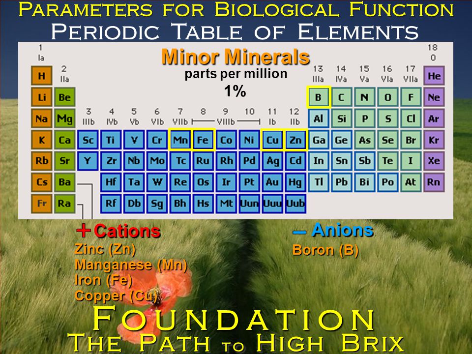 Periodic Table of Elements Parameters for Biological Function Zinc (Zn) Manganese (Mn) Iron (Fe) Copper (Cu) Boron (B) parts per million Minor Minerals The Path to High Brix Foundation 1% Cations Anions