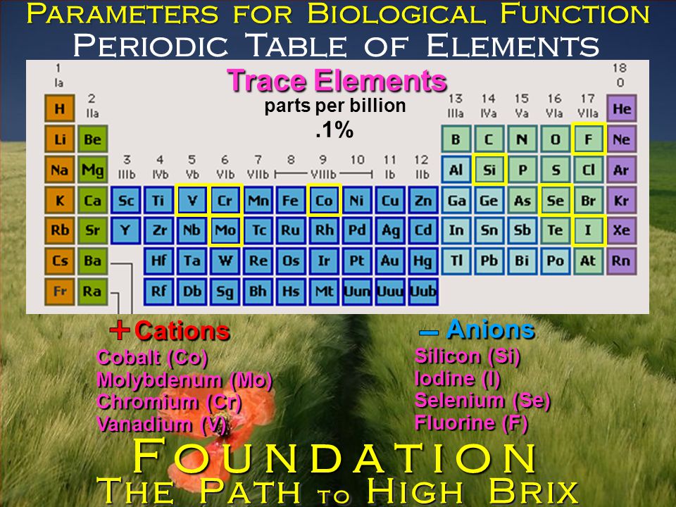 Periodic Table of Elements Parameters for Biological Function Silicon (Si) Iodine (I) Selenium (Se) Fluorine (F) Cobalt (Co) Molybdenum (Mo) Chromium (Cr) Vanadium (V) parts per billion Trace Elements The Path to High Brix Foundation Cations Anions.1%