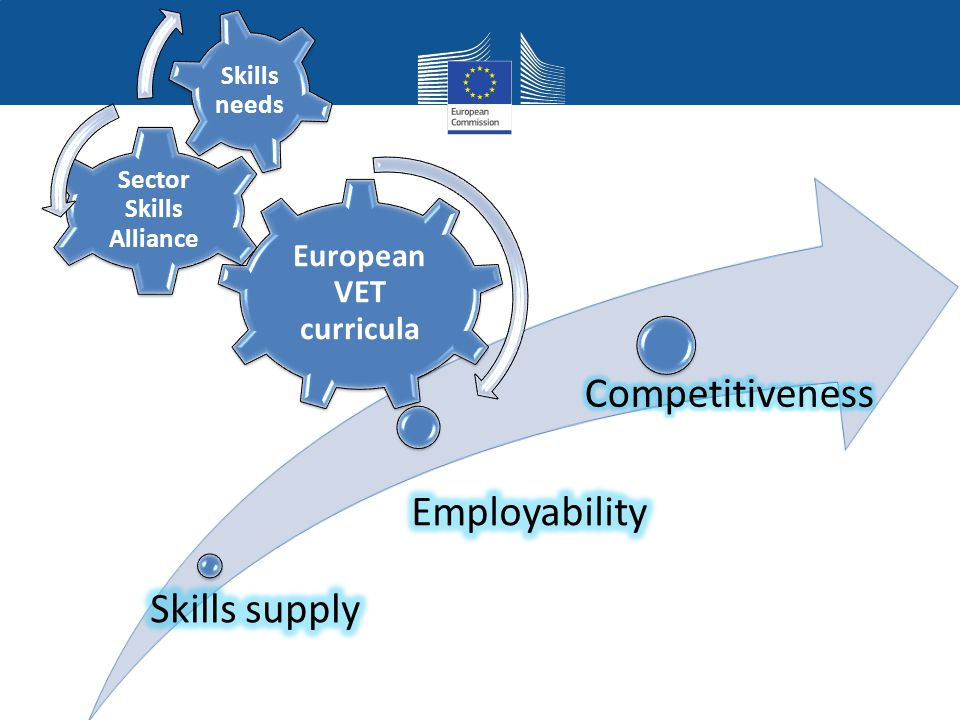 European VET curricula Sector Skills Alliance Skills needs