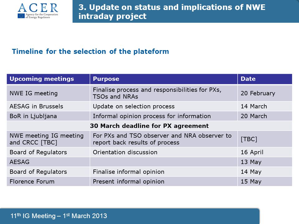 11 th IG Meeting – 1 st March 2013 Timeline for the selection of the plateform 3.