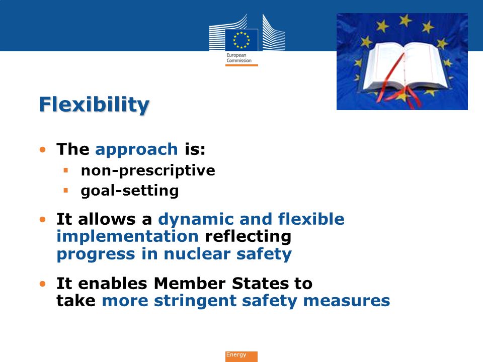 Energy Flexibility The approach is:  non-prescriptive  goal-setting It allows a dynamic and flexible implementation reflecting progress in nuclear safety It enables Member States to take more stringent safety measures