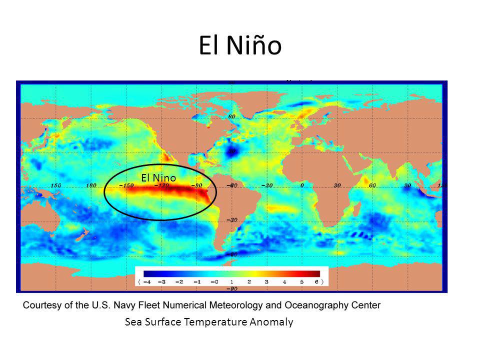 El Niño Sea Surface Temperature Anomaly El Nino