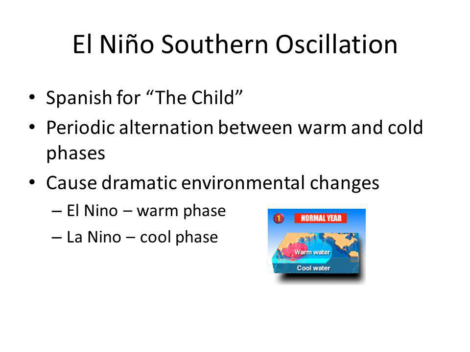 El Niño Southern Oscillation Spanish for The Child Periodic alternation between warm and cold phases Cause dramatic environmental changes – El Nino – warm phase – La Nino – cool phase