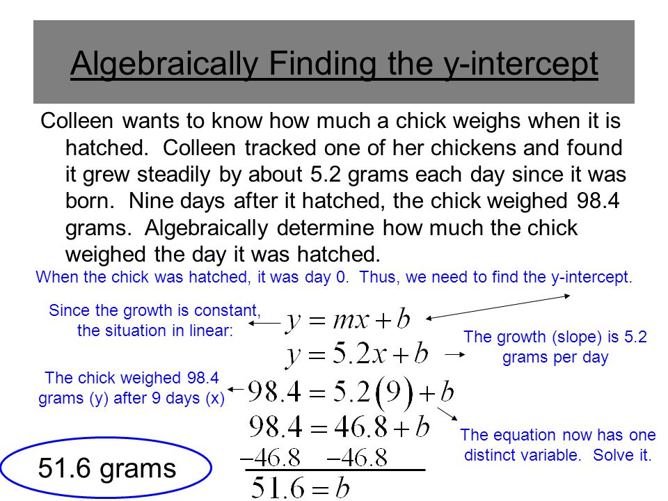 Algebraically Finding the y-intercept Colleen wants to know how much a chick weighs when it is hatched.