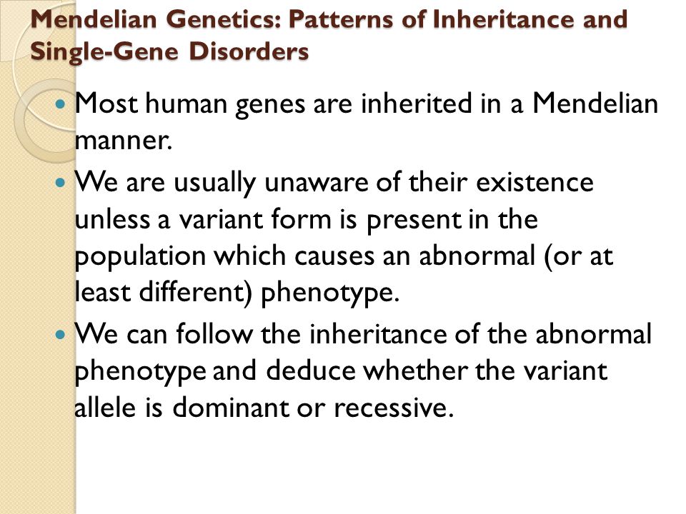 mendelian genetics in humans essay Mendelian genetics in humans essay, nyu creative writing program faculty, phd creative writing sydney university posted on february 8, 2018 by corollary: an essay. mendelian genetics in humans essay Mendelian genetics in humans essay, nyu creative writing program faculty, phd creative writing sydney university posted on february 8, 2018 by corollary: an essay.