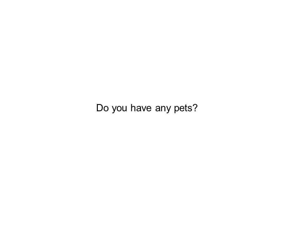 Do you have any pets