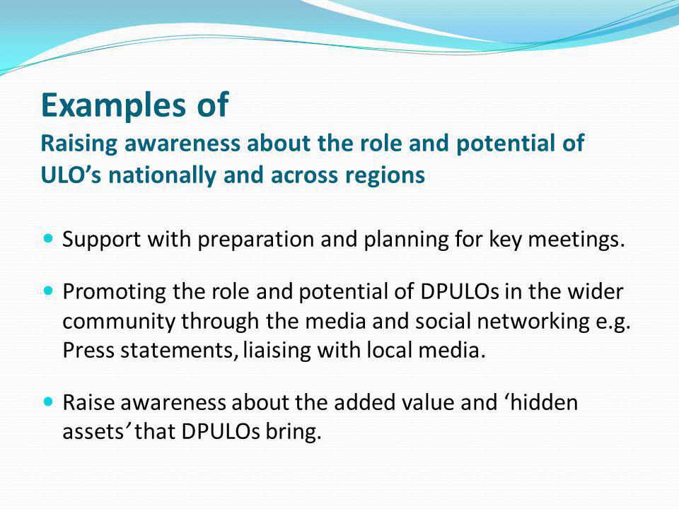 Examples of Raising awareness about the role and potential of ULO’s nationally and across regions Support with preparation and planning for key meetings.