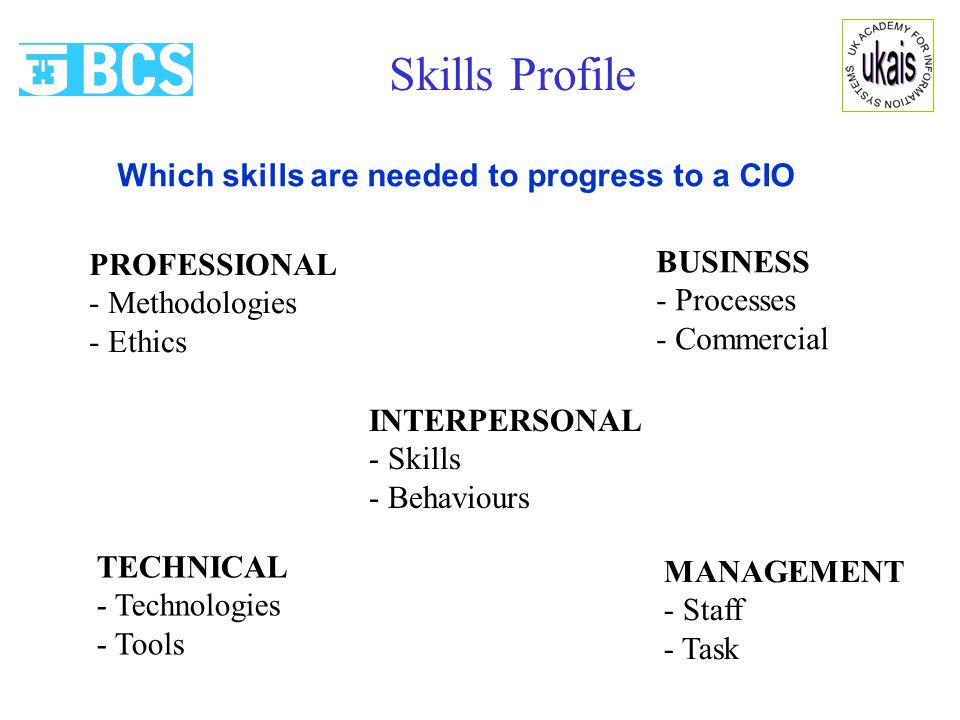 PROFESSIONAL - Methodologies - Ethics TECHNICAL - Technologies - Tools BUSINESS - Processes - Commercial INTERPERSONAL - Skills - Behaviours MANAGEMENT - Staff - Task Which skills are needed to progress to a CIO Skills Profile