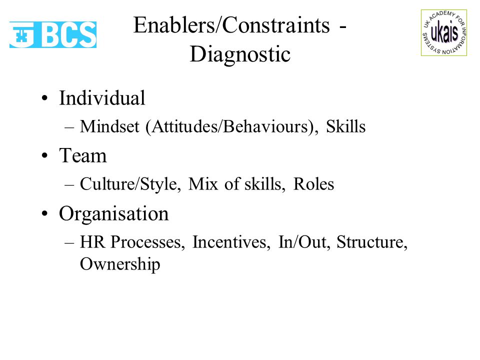 Individual –Mindset (Attitudes/Behaviours), Skills Team –Culture/Style, Mix of skills, Roles Organisation –HR Processes, Incentives, In/Out, Structure, Ownership Enablers/Constraints - Diagnostic