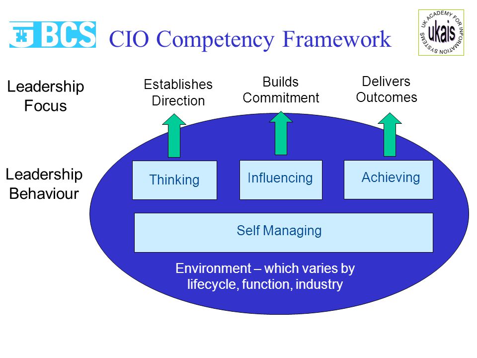 CIO Competency Framework Establishes Direction Builds Commitment Delivers Outcomes Leadership Focus Environment – which varies by lifecycle, function, industry Thinking Influencing Achieving Self Managing Leadership Behaviour