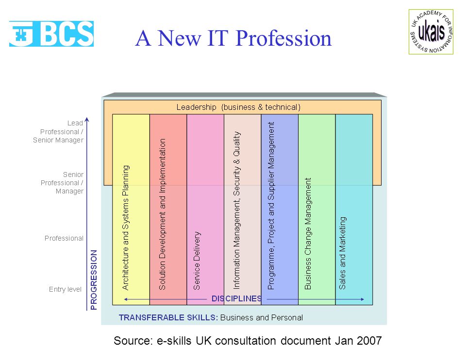 A New IT Profession Source: e-skills UK consultation document Jan 2007