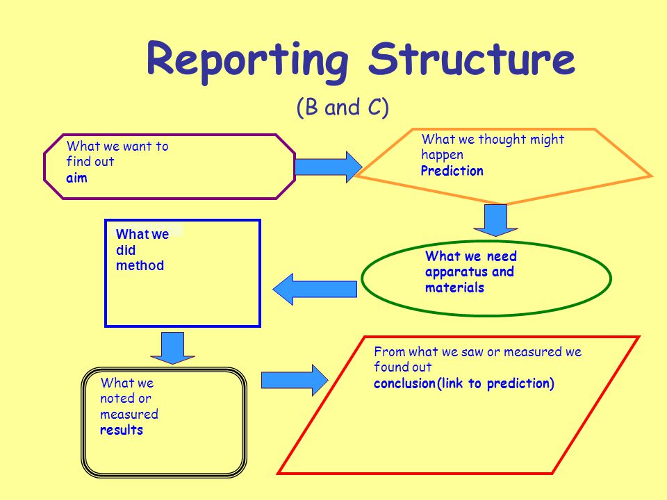Reporting Structure (B and C) What we thought might happen Prediction What we did method What we want to find out aim What we need apparatus and materials What we noted or measured results From what we saw or measured we found out conclusion (link to prediction)