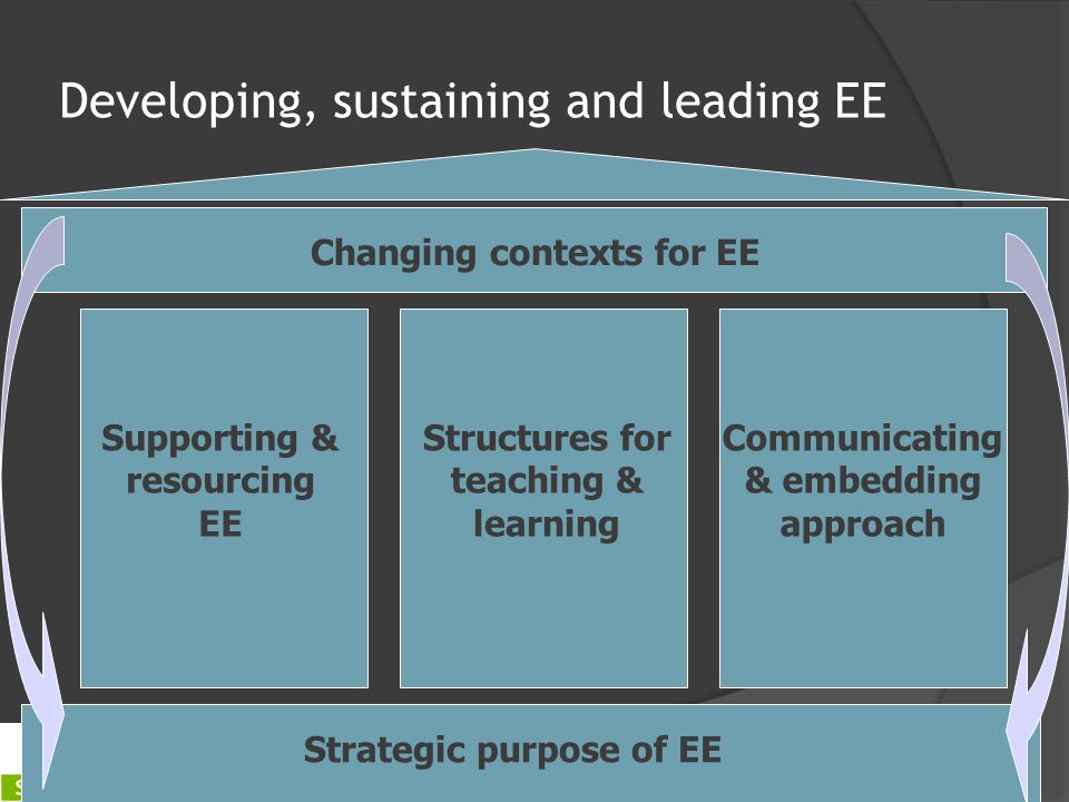 Developing, sustaining and leading EE Supporting & resourcing EE Structures for teaching & learning Communicating & embedding approach Strategic purpose of EE Changing contexts for EE