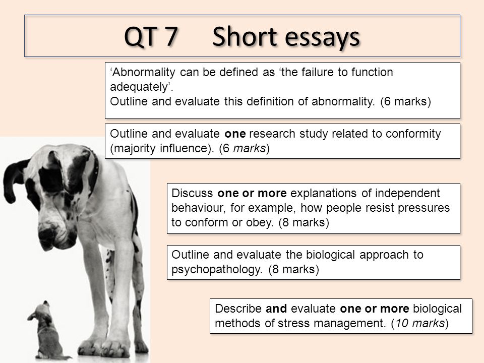Obedience Essay