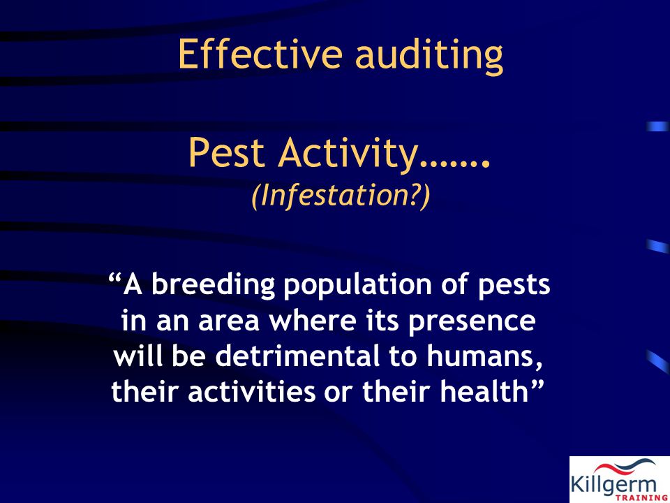 Effective auditing Pest Activity…….