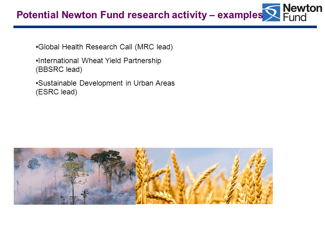 Potential Newton Fund research activity – examples Global Health Research Call (MRC lead) International Wheat Yield Partnership (BBSRC lead) Sustainable Development in Urban Areas (ESRC lead)