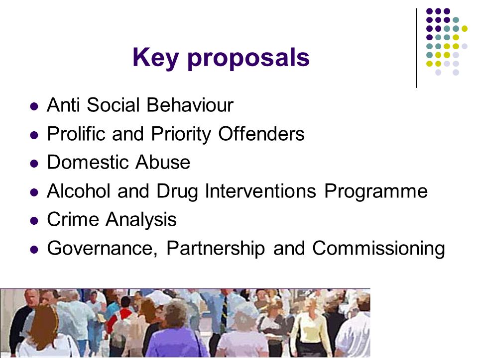 Key proposals Anti Social Behaviour Prolific and Priority Offenders Domestic Abuse Alcohol and Drug Interventions Programme Crime Analysis Governance, Partnership and Commissioning