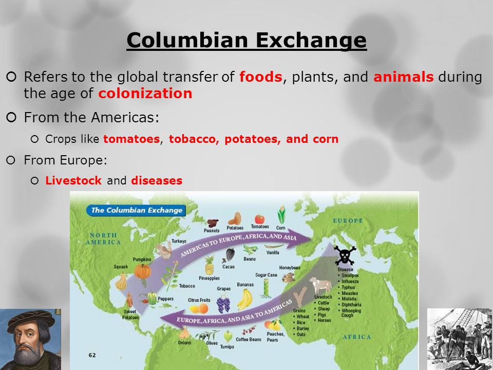 pros cons columbian exchange Get an answer for 'what were some of the positive aspects of the columbian exchange' and find homework help for other what were the cons of the columbian exchange. pros cons columbian exchange Get an answer for 'what were some of the positive aspects of the columbian exchange' and find homework help for other what were the cons of the columbian exchange.