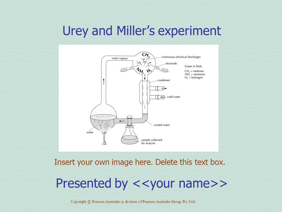 Urey and Miller’s experiment Presented by > Insert your own image here.